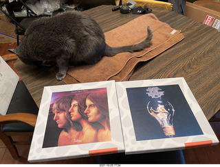 tapes from Oleg in Russia + my cat Devin