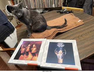 cats Max and Devin in my hifi room