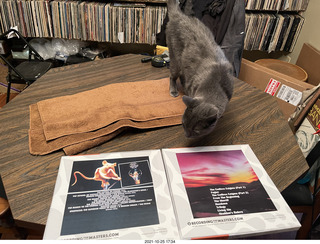 tapes from Oleg in Russia + my cat Devin