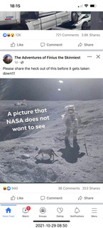 Grand Canyon North Rim - Widforss Trail - vista view