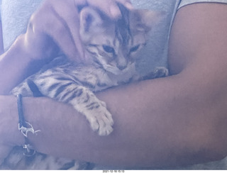 Club SAR sign for Pickleball