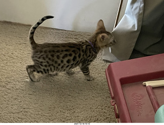 Club SAR sign for Pickleball