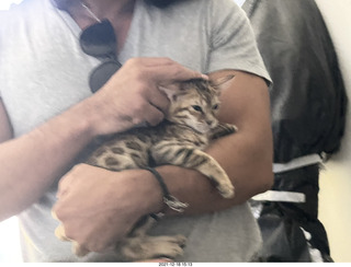 Club SAR sign for Pickleball