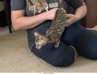 cat Pickle (or maybe her sister)