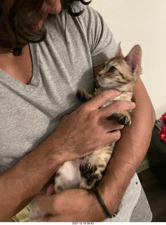 kitten Pickle with Anthony