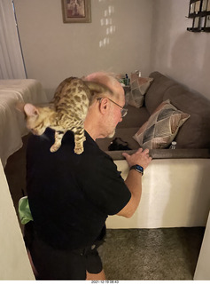 Bengal kitten Pickle first meal at new home