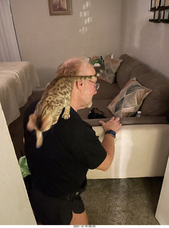 Bengal kitten Pickle on Adam's shoulders