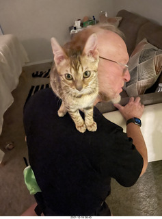 kitten Pickle with Anthony