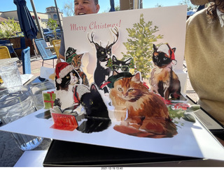 kitten Pickle with Anthony