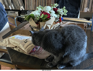 Olga and Anthony gave me a lovely floral bouquet for my birthday + Jim Gerdy's birthday present + my cat Devin