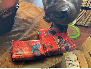 Olga and Anthony gave me a lovely floral bouquet for my birthday + my cat Devin