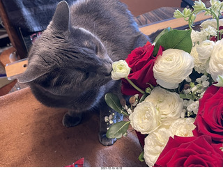 Olga and Anthony gave me a lovely floral bouquet for my birthday + my cat Devin