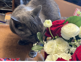 my cat Devin and my birthday flower bouquet