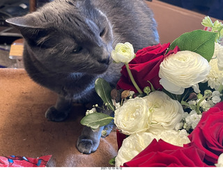 my cat Devin and my birthday flower bouquet