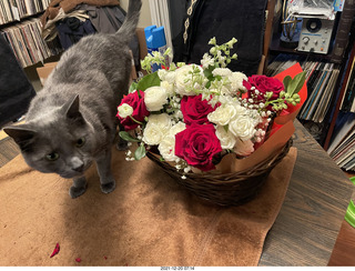 my cat Devin and flowers