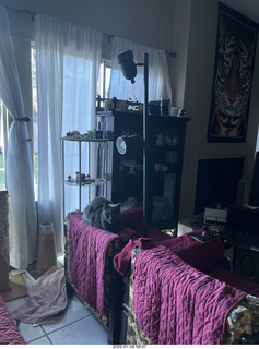 my cat Devin and my birthday flower bouquet