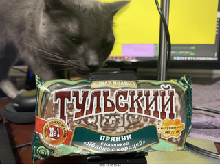 my cat Devin and my birthday flower bouquet