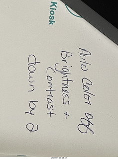 cat Potato and kitten Pickle