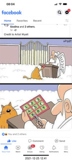 cat checking nine-lives card with St. Peter