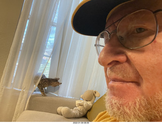 kitten Pickle and Adam kitten PIckle and Adam