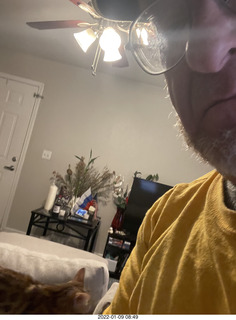 kitten Pickle and Adam kitten PIckle and Adam