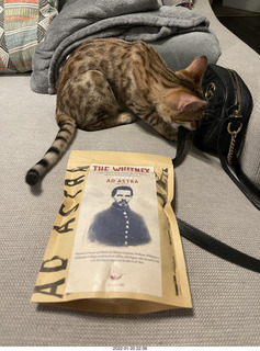 kitten Pickle and Hillsdale coffee