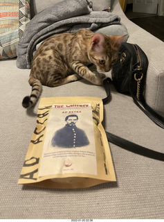 kitten Pickle and Hillsdale coffee