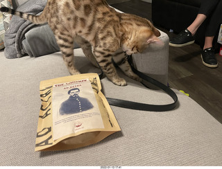 kitten Pickle and Hillsdale coffee