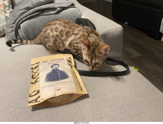 kitten Pickle and Hillsdale coffee