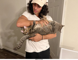 cat Potato and kitten Pickle cat Potato and kitten Pickle