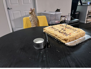 Olga and Anthony holiday/birthday card - 3D cats