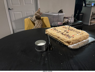 kitten Pickle, Anthony birthday