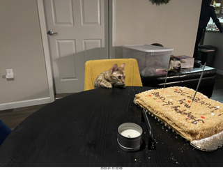 kitten Pickle, Anthony birthday