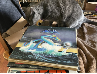 my cat Devin investigating Alanna's old records