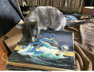 my cat Devin investigating Alanna's old records