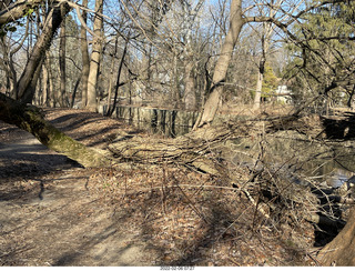 Philadelphia/Cheltenham run - Tookany Creek Parkway