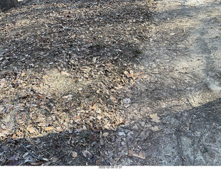 Philadelphia/Cheltenham run - Tookany Creek Parkway