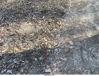 Philadelphia/Cheltenham run - Tookany Creek Parkway