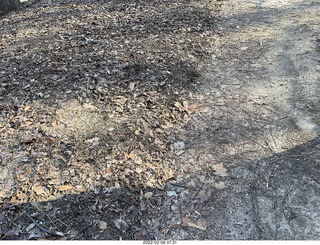 Philadelphia/Cheltenham run - Tookany Creek Parkway