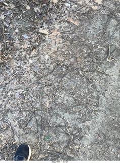 Philadelphia/Cheltenham run - Tookany Creek Parkway