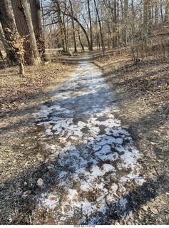 Philadelphia/Cheltenham run - Tookany Creek Parkway