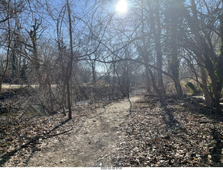 Philadelphia/Cheltenham run - Tookany Creek Parkway