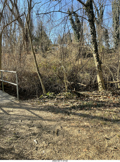 Philadelphia/Cheltenham run - Tookany Creek Parkway