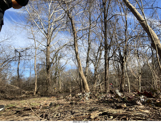 Philadelphia/Cheltenham run - Tookany Creek Parkway