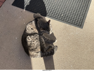 A+O house - 7027 43 Place + cat Potato