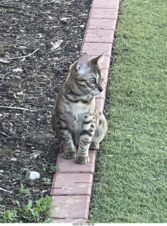 A+O house - 7027 43 Place + kiten PIckle