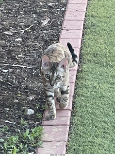 A+O house - 7027 43 Place + kiten PIckle