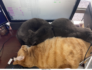 Adam with my cat Devin on my lap