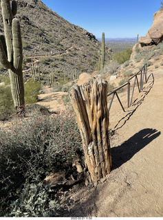 A+O house - 7027 43 Place + kitten Pickle, cat Potato