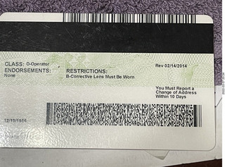 AZPILOT license plate